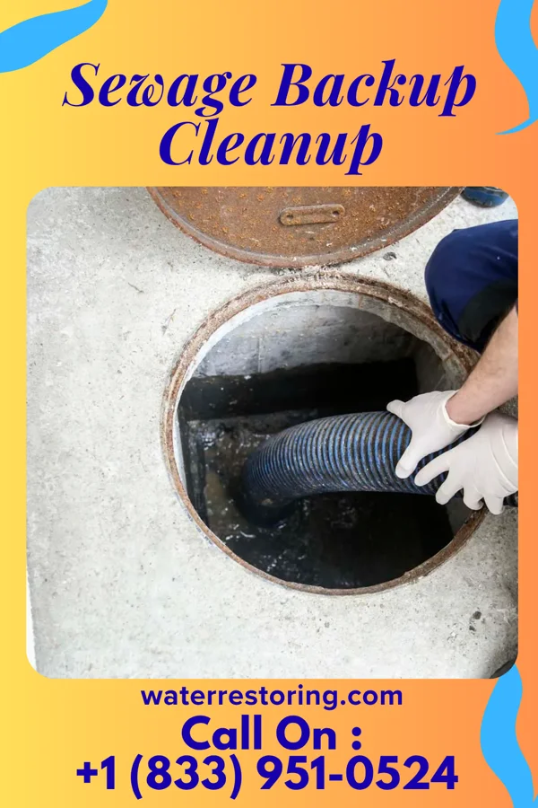 Sewage Backup Cleanup in Blossom, TX